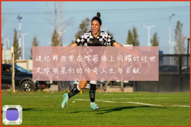 追忆那些曾在绿茵场上闪耀的过世足球明星们的传奇人生与贡献